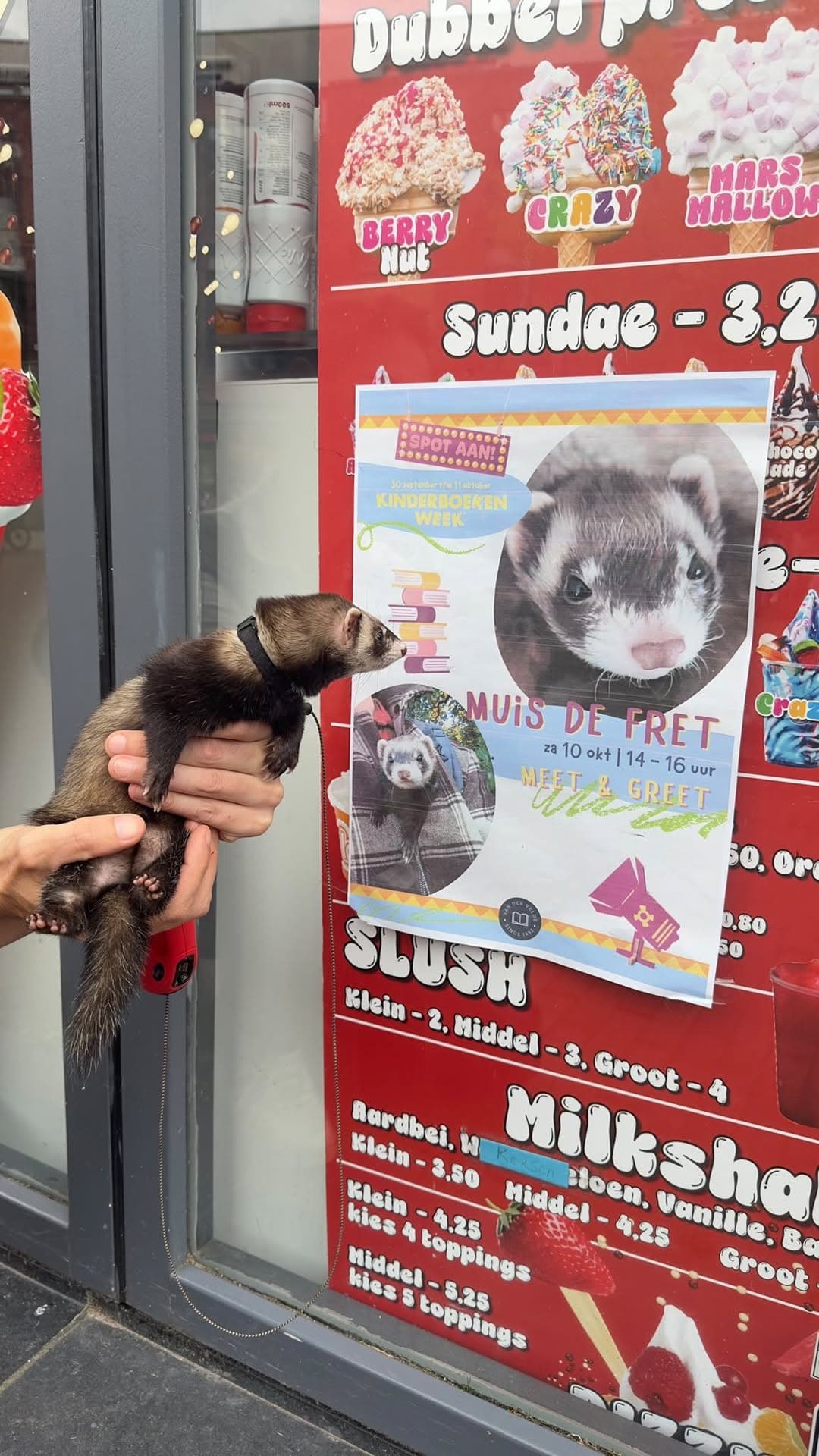 De echte Muis kijkt naar zijn eigen meet-and-greetposter in Assen
